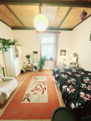 Prodej vícegeneračního domu, Želízy, 740 m2