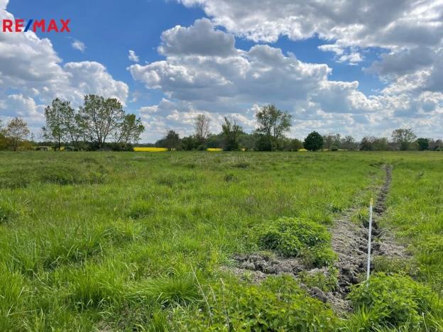 Prodej zemědělské půdy, Olomouc, 4547 m2