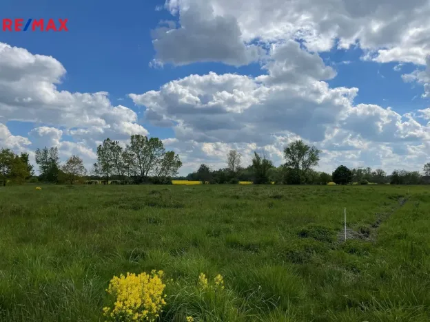 Prodej zemědělské půdy, Olomouc, 4547 m2