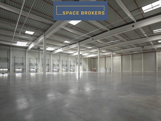 Pronájem skladu, Mikulov, 12000 m2