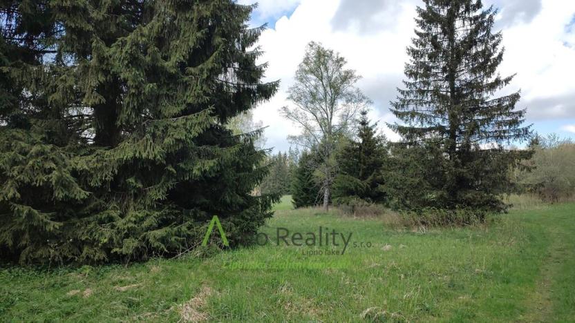 Prodej pozemku pro bydlení, Přední Výtoň, 1887 m2