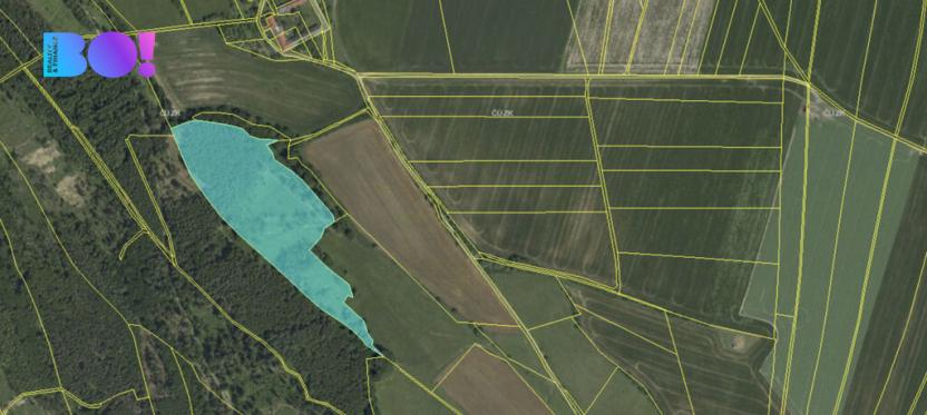 Prodej lesa, Městečko Trnávka - Pěčíkov, 542766 m2