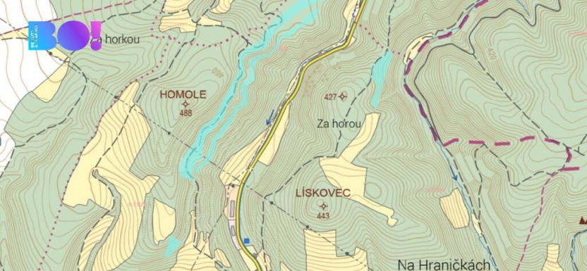 Prodej lesa, Městečko Trnávka - Pěčíkov, 542766 m2