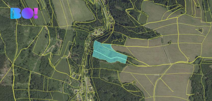 Prodej lesa, Městečko Trnávka - Pěčíkov, 542766 m2