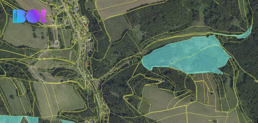 Prodej lesa, Městečko Trnávka - Pěčíkov, 542766 m2