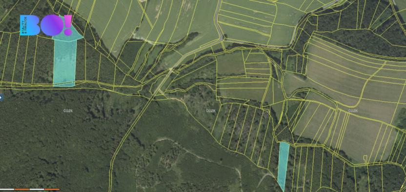 Prodej lesa, Městečko Trnávka - Pěčíkov, 542766 m2