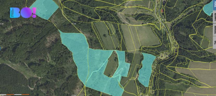 Prodej lesa, Městečko Trnávka - Pěčíkov, 542766 m2