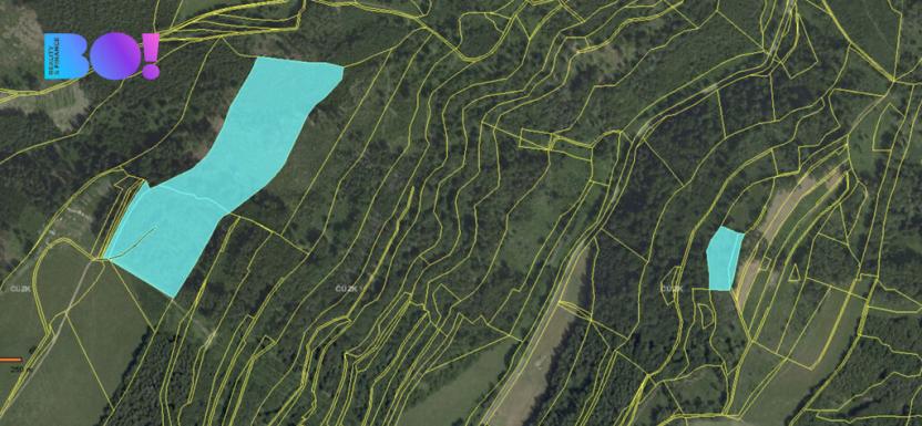 Prodej lesa, Městečko Trnávka - Pěčíkov, 542766 m2