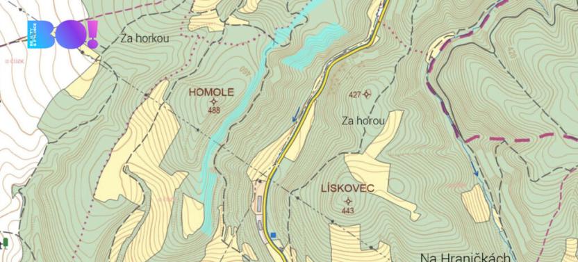 Prodej lesa, Městečko Trnávka - Pěčíkov, 542766 m2