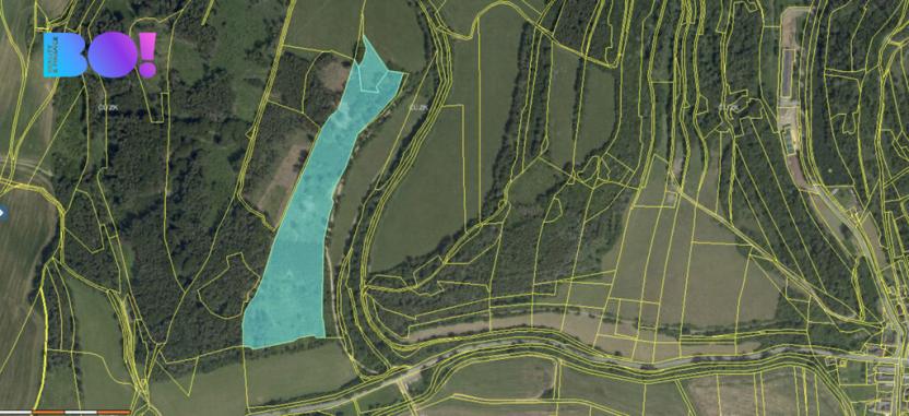 Prodej lesa, Městečko Trnávka - Pěčíkov, 542766 m2