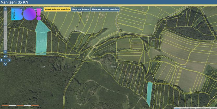 Prodej lesa, Městečko Trnávka - Pěčíkov, 542766 m2
