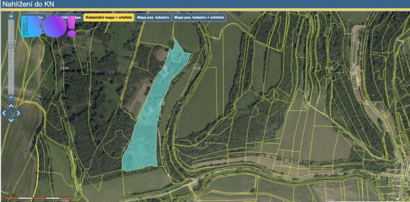 Prodej lesa, Městečko Trnávka - Pěčíkov, 542766 m2