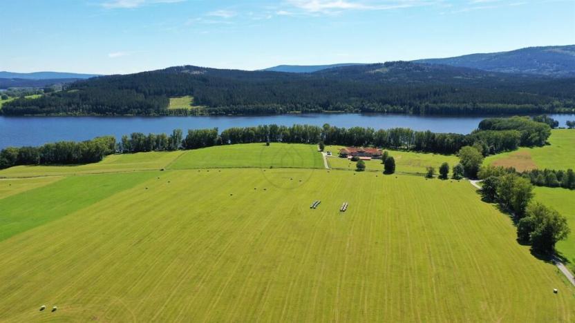 Prodej zemědělské půdy, Horní Planá, 92549 m2