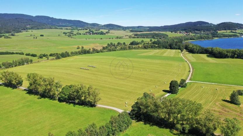 Prodej zemědělské půdy, Horní Planá, 92549 m2