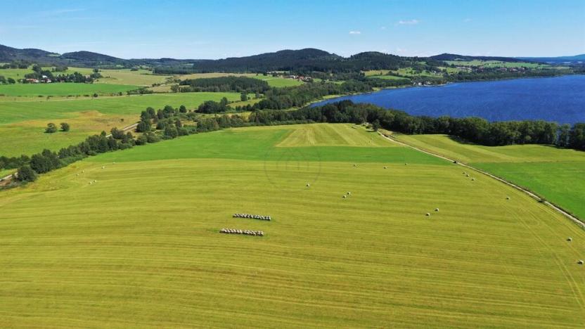 Prodej zemědělské půdy, Horní Planá, 92549 m2