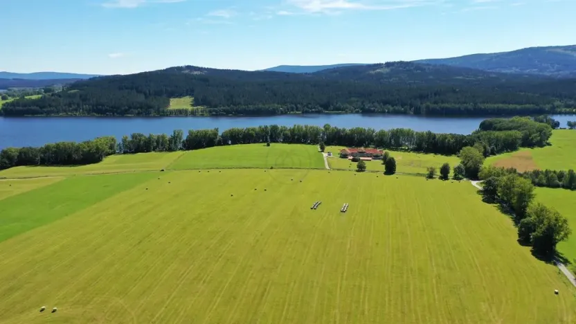 Prodej zemědělské půdy, Horní Planá, 92549 m2