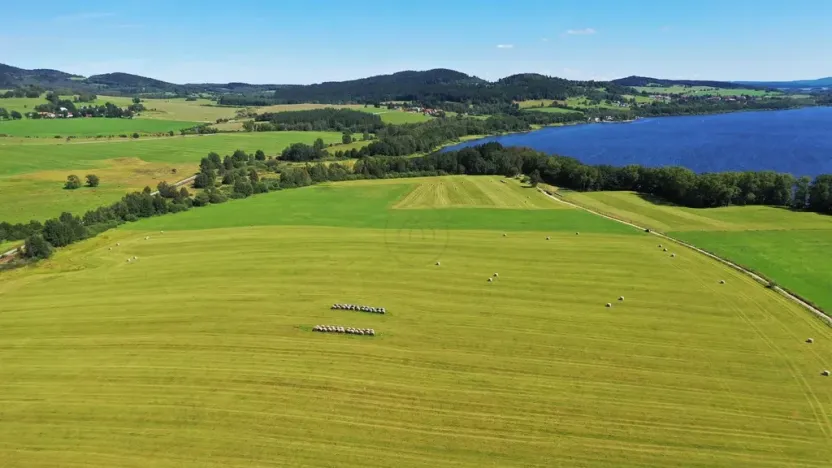 Prodej zemědělské půdy, Horní Planá, 92549 m2