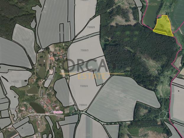 Prodej trvalého travního porostu, Drunče, 15401 m2