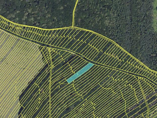Prodej zemědělské půdy, Mistřice, 3576 m2