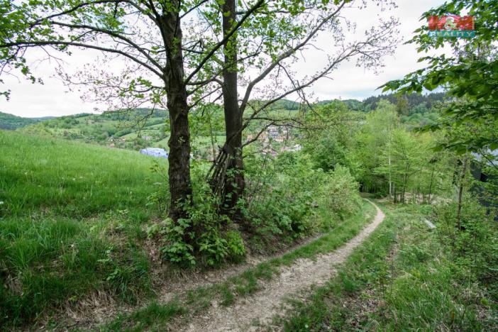 Prodej pozemku pro bydlení, Vsetín - Horní Jasenka, 4007 m2