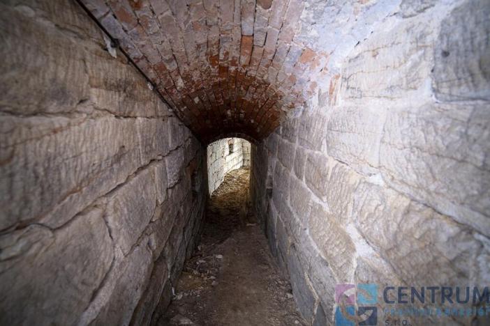 Prodej zemědělské usedlosti, Medonosy, 480 m2