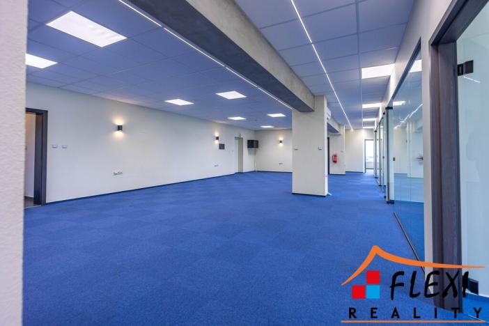 Pronájem kanceláře, Ostrava - Mariánské Hory, Novoveská, 239 m2