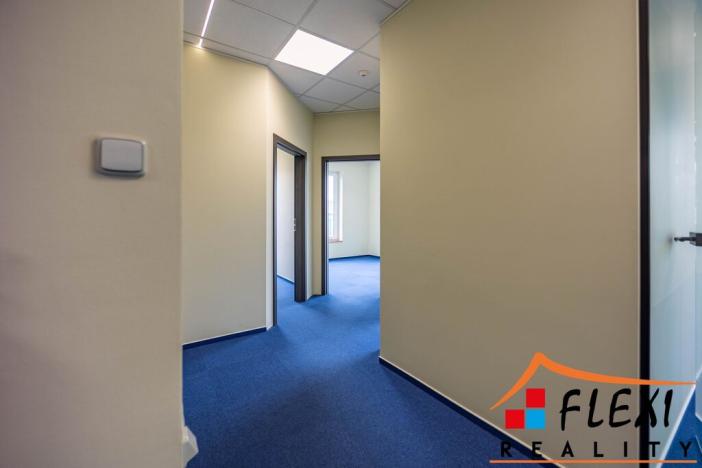 Pronájem kanceláře, Ostrava - Mariánské Hory, Novoveská, 239 m2