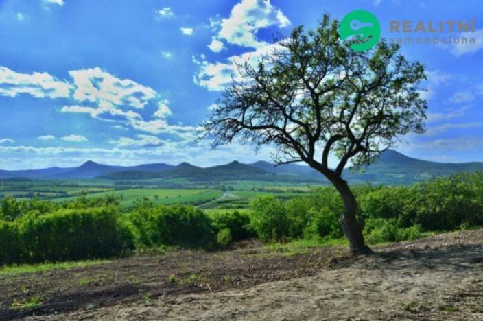 Prodej zahrady, Velemín - Oparno, 1600 m2