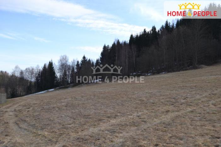 Prodej pozemku pro bydlení, Bublava, 9092 m2