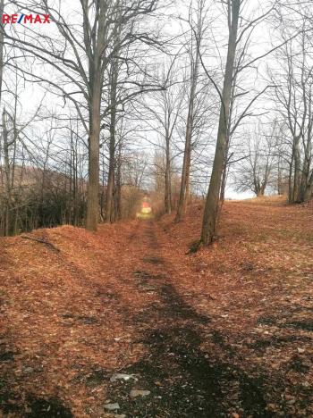 Prodej pozemku pro bydlení, Zlaté Hory, 2674 m2