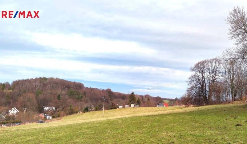 Prodej pozemku pro bydlení, Zlaté Hory, 3103 m2