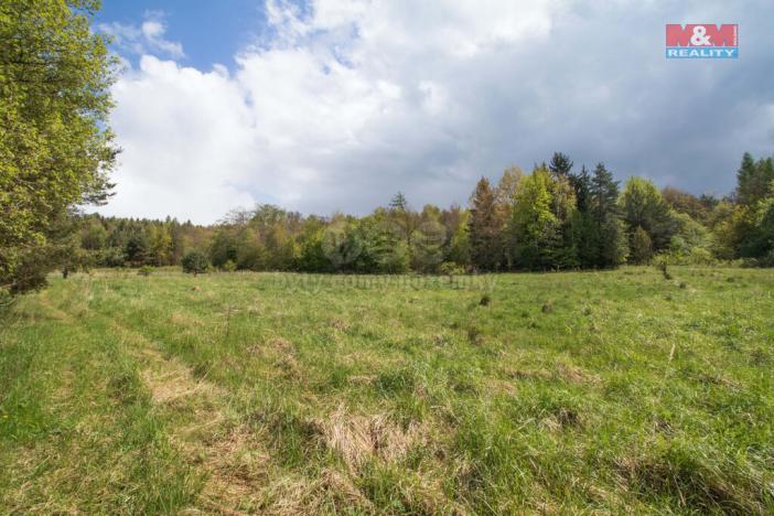 Prodej trvalého travního porostu, Velenov, 3586 m2