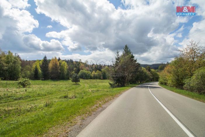 Prodej trvalého travního porostu, Velenov, 3586 m2