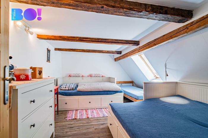 Prodej chalupy, Janov, 210 m2