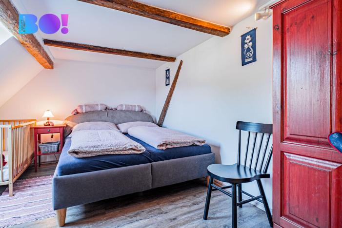 Prodej chalupy, Janov, 210 m2