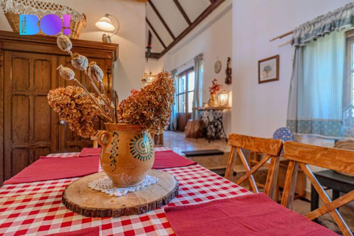 Prodej chalupy, Janov, 210 m2