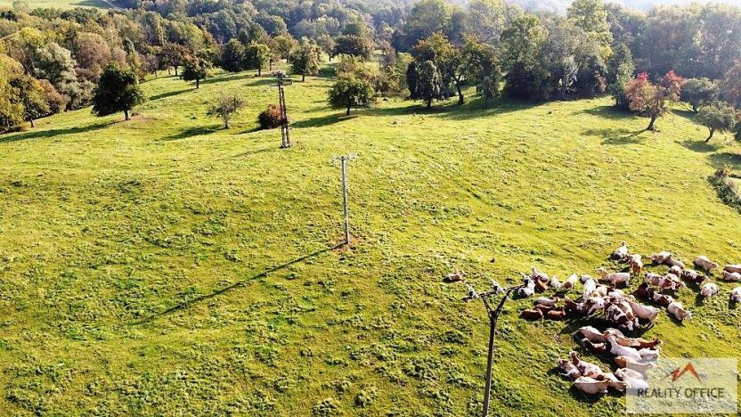 Prodej pozemku pro bydlení, Malšovice - Nová Bohyně, 6828 m2