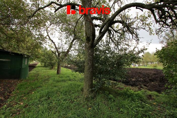 Prodej zahrady, Sokolnice, 704 m2