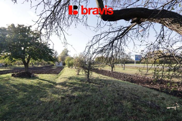 Prodej zahrady, Sokolnice, 704 m2