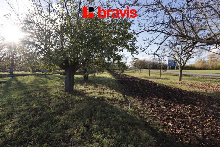 Prodej zahrady, Sokolnice, 704 m2