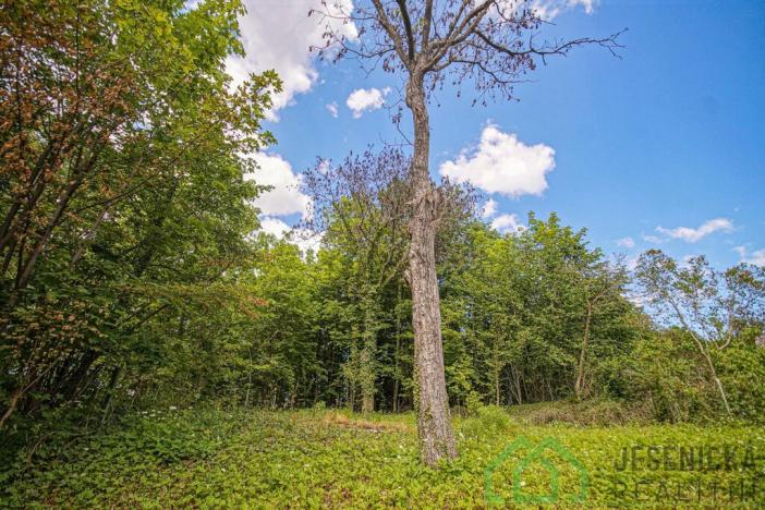 Prodej zahrady, Žulová, 270 m2