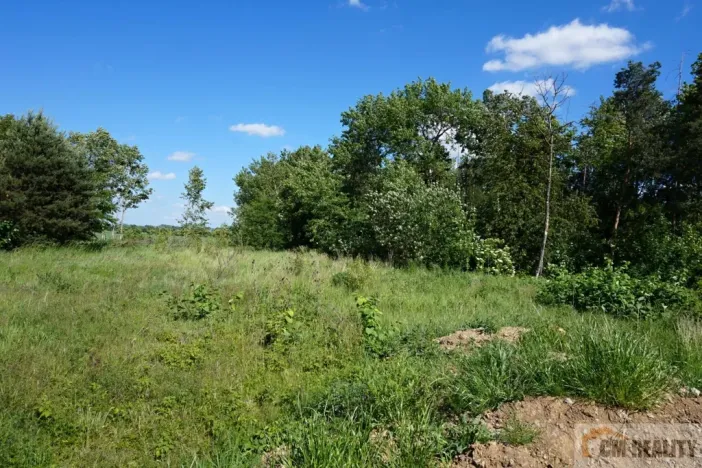 Prodej pozemku pro komerční výstavbu, Tovéř, 3074 m2