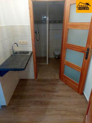 Prodej ubytování, Písařov - Bukovice, 520 m2