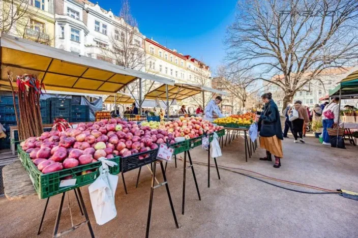 Prodej bytu 2+kk, Praha - Vinohrady, 90 m2