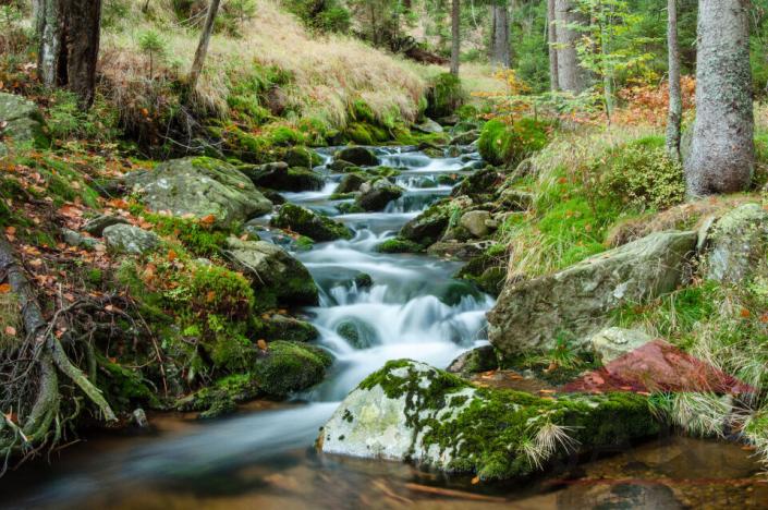 Prodej pozemku pro bydlení, Prášily, 2295 m2