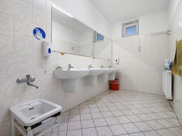 Pronájem výrobních prostor, Bystřice pod Hostýnem, Přerovská, 479 m2