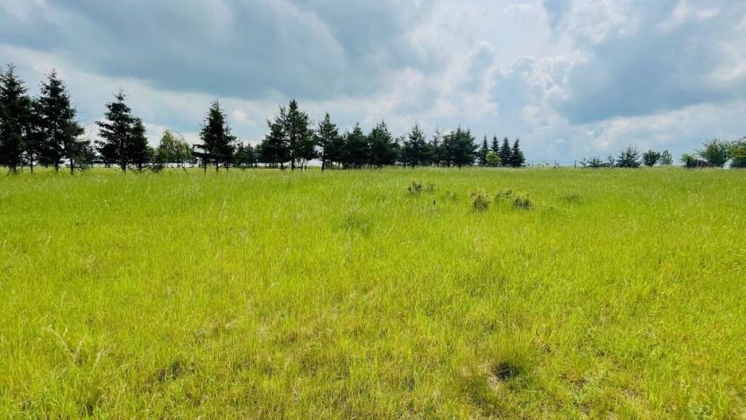 Prodej trvalého travního porostu, Unhošť, Štoka, 1427 m2