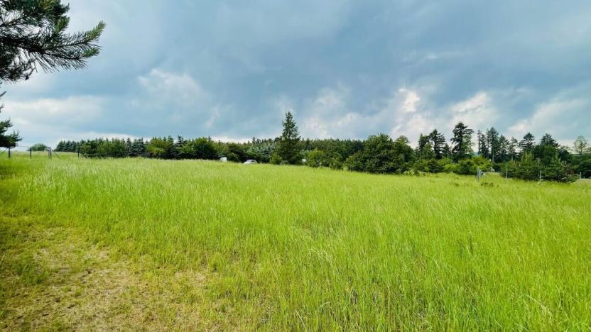 Prodej trvalého travního porostu, Unhošť, Štoka, 1427 m2