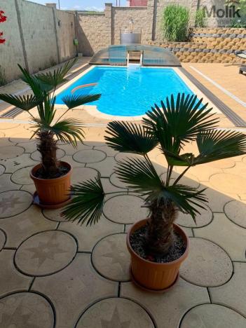 Prodej komerční nemovitosti, Most, Albrechtická, 1100 m2