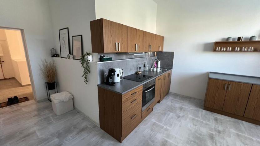 Pronájem bytu 2+kk, Ústí nad Labem - Ústí nad Labem-centrum, Panská, 70 m2